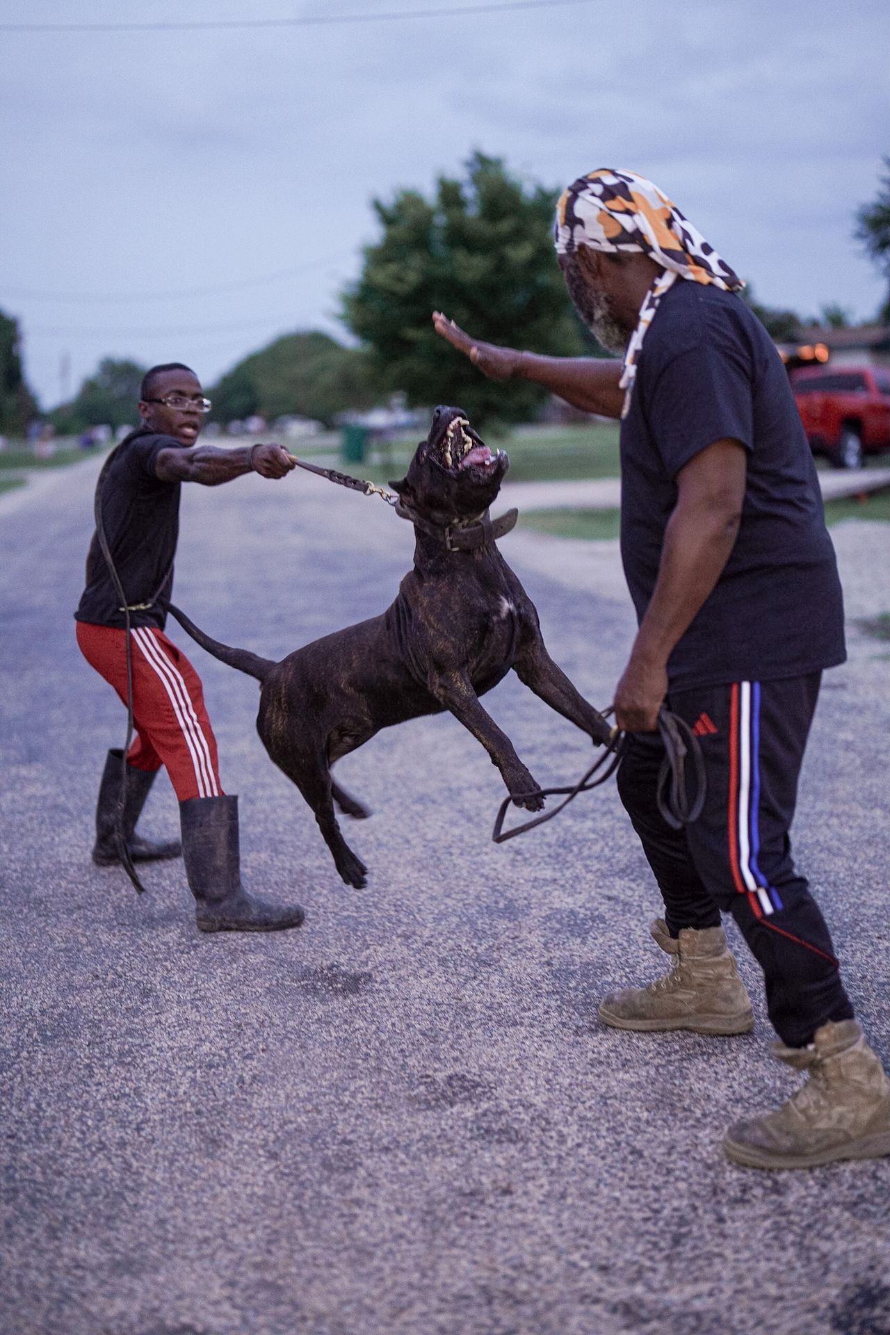 Home and Car Invasion Protection