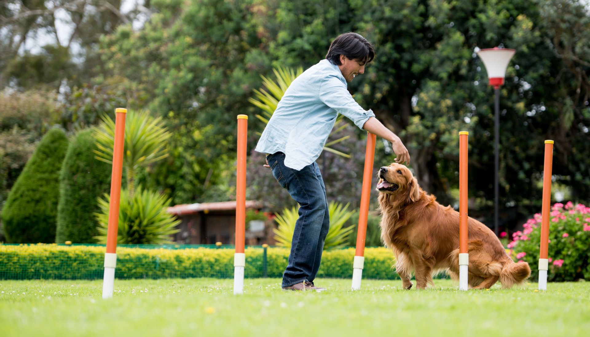 Man training a dog at an obstacle course